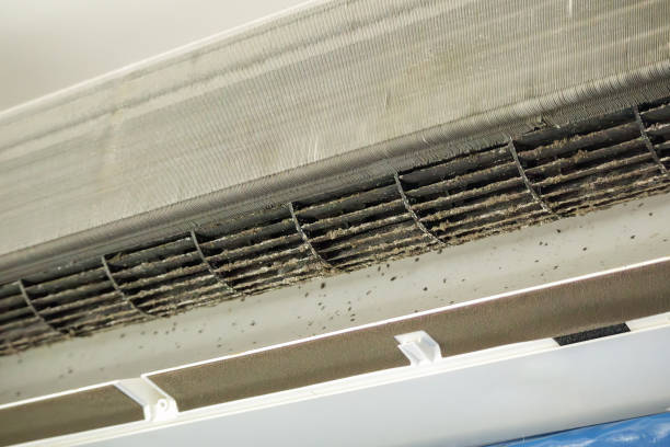 Best HVAC Maintenance and Cleaning  in Westfield, NJ